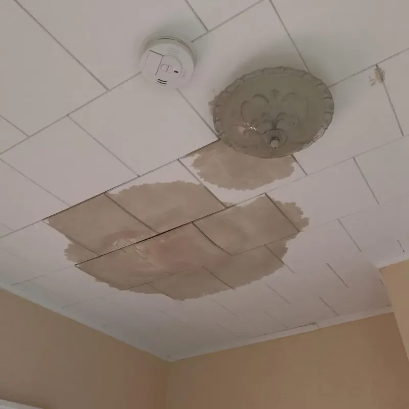Ceiling Water Damage Repair in Washington County, VT