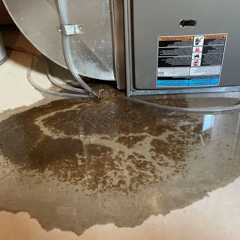 Pipe Burst and Leak Restoration in Washington County, VT